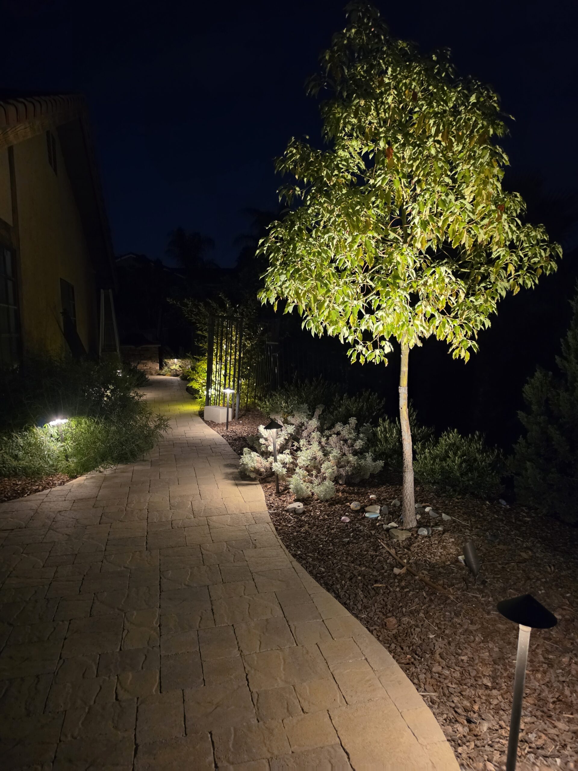 Landscape Lighting in San Diego — project photo 1