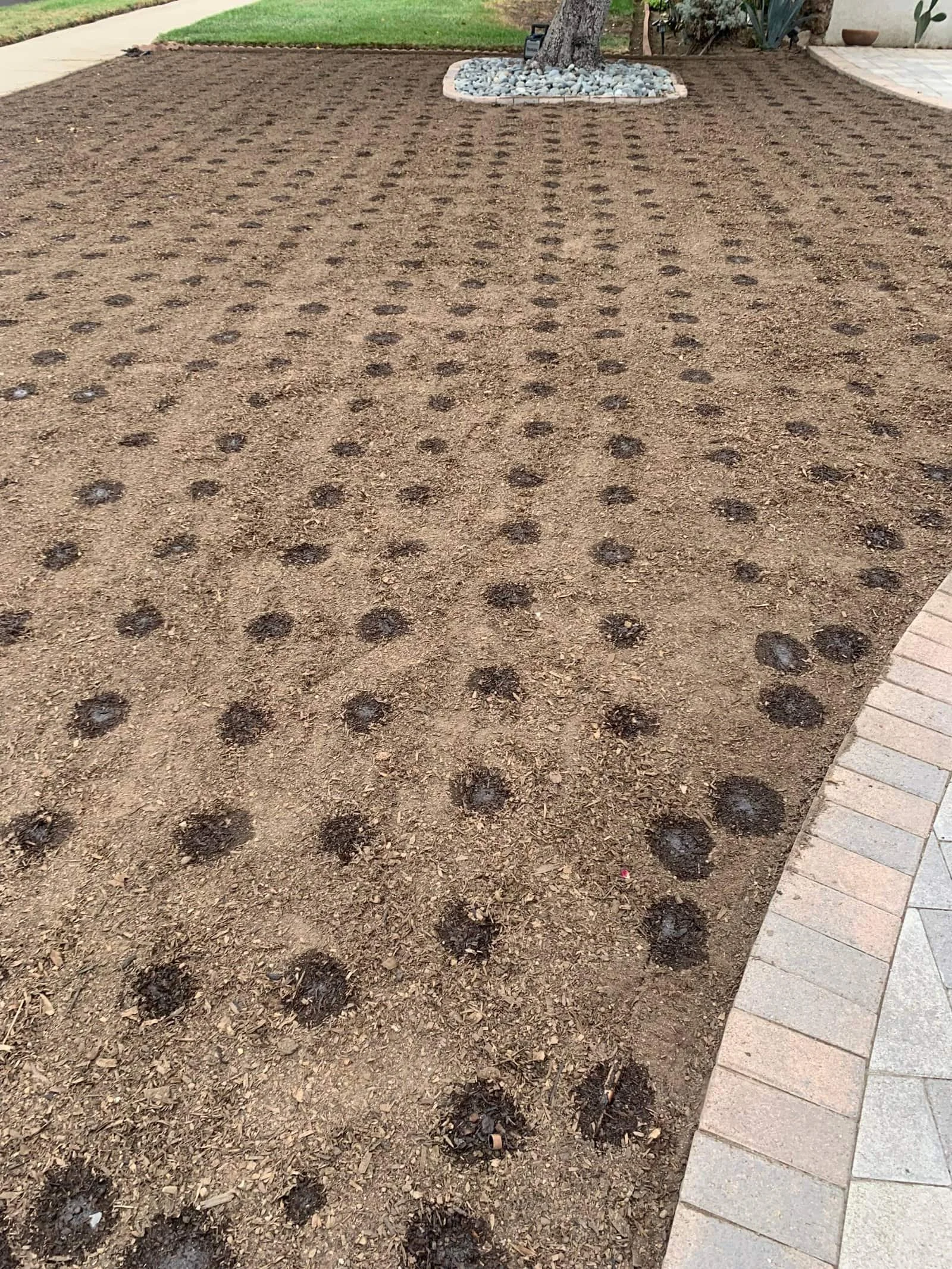 Water, shelter and habits — San Diego landscaping by Staples Landscaping