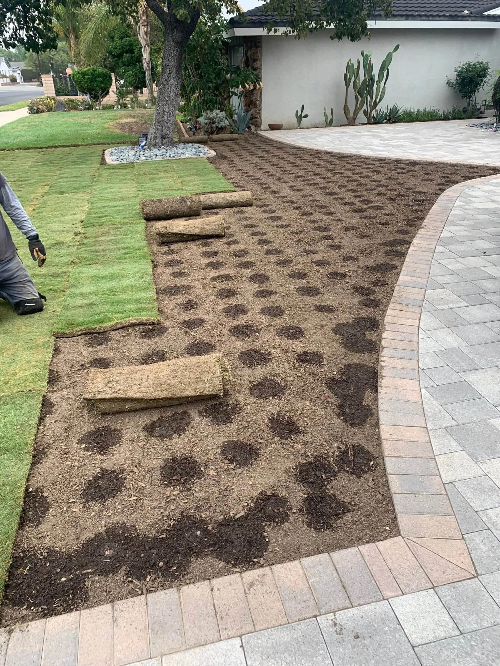 The seasonal habit that saves money — San Diego landscaping by Staples Landscaping
