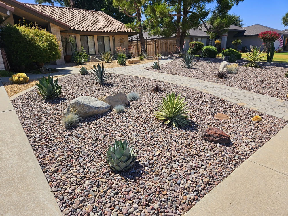 Plant choices — San Diego landscaping by Staples Landscaping