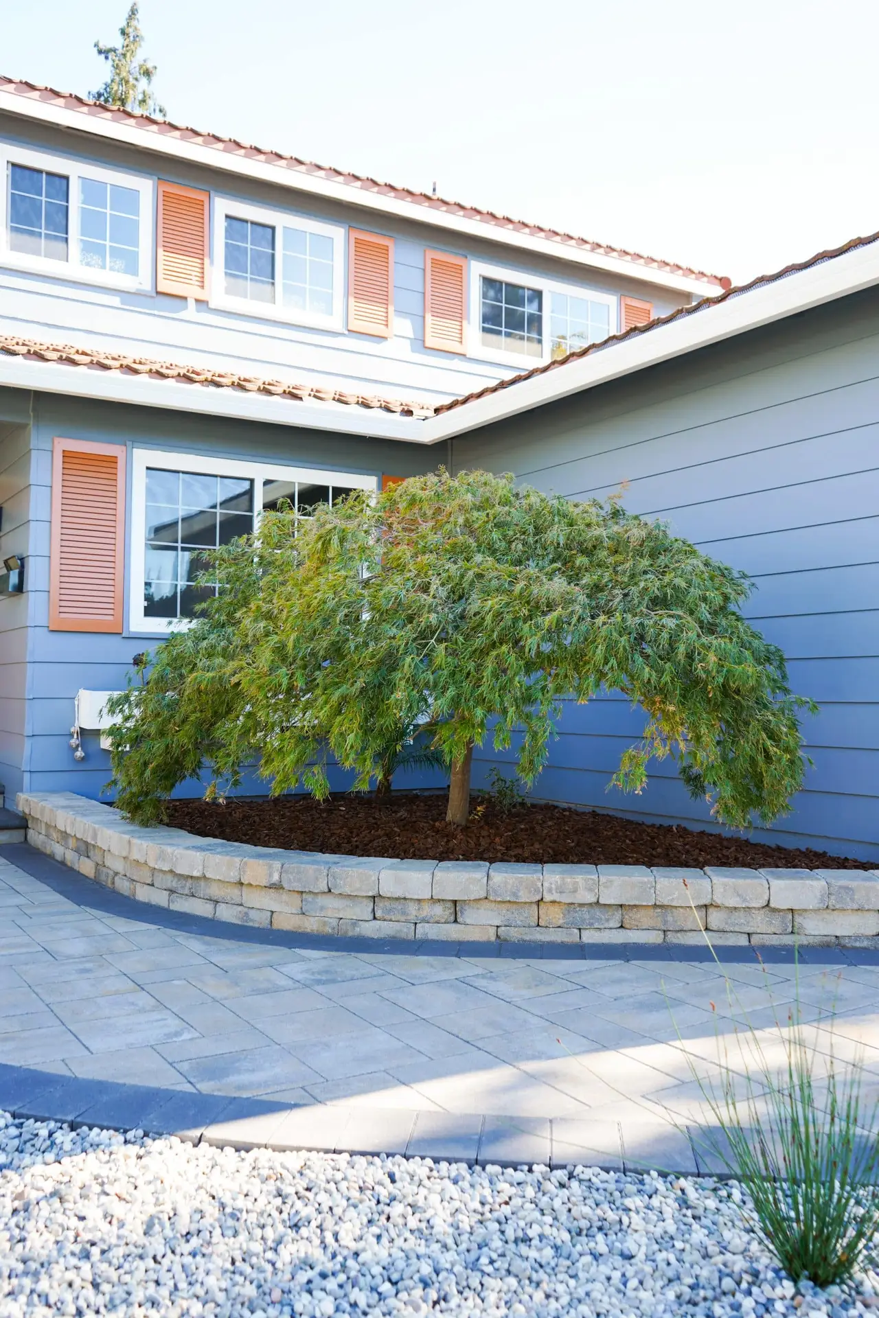 How each behaves in local soil — San Diego landscaping by Staples Landscaping