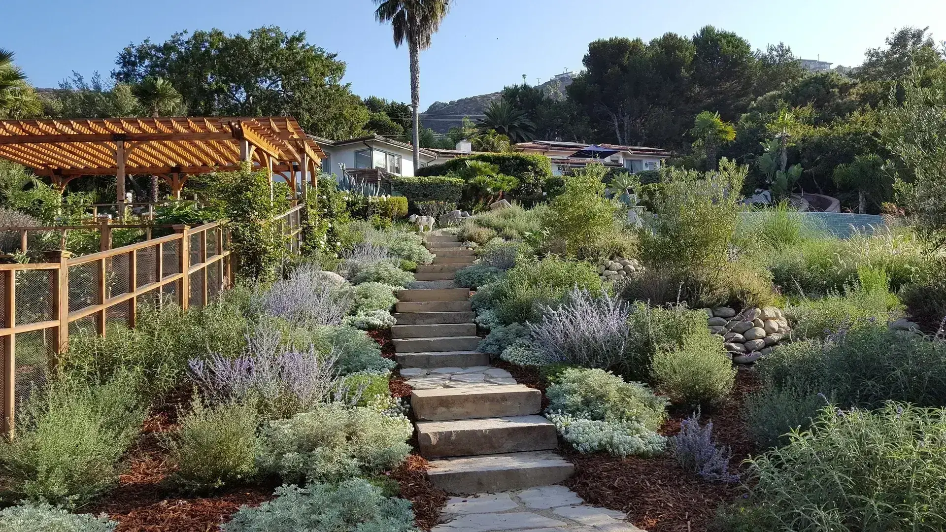 Where DG belongs and where it does not — San Diego landscaping by Staples Landscaping
