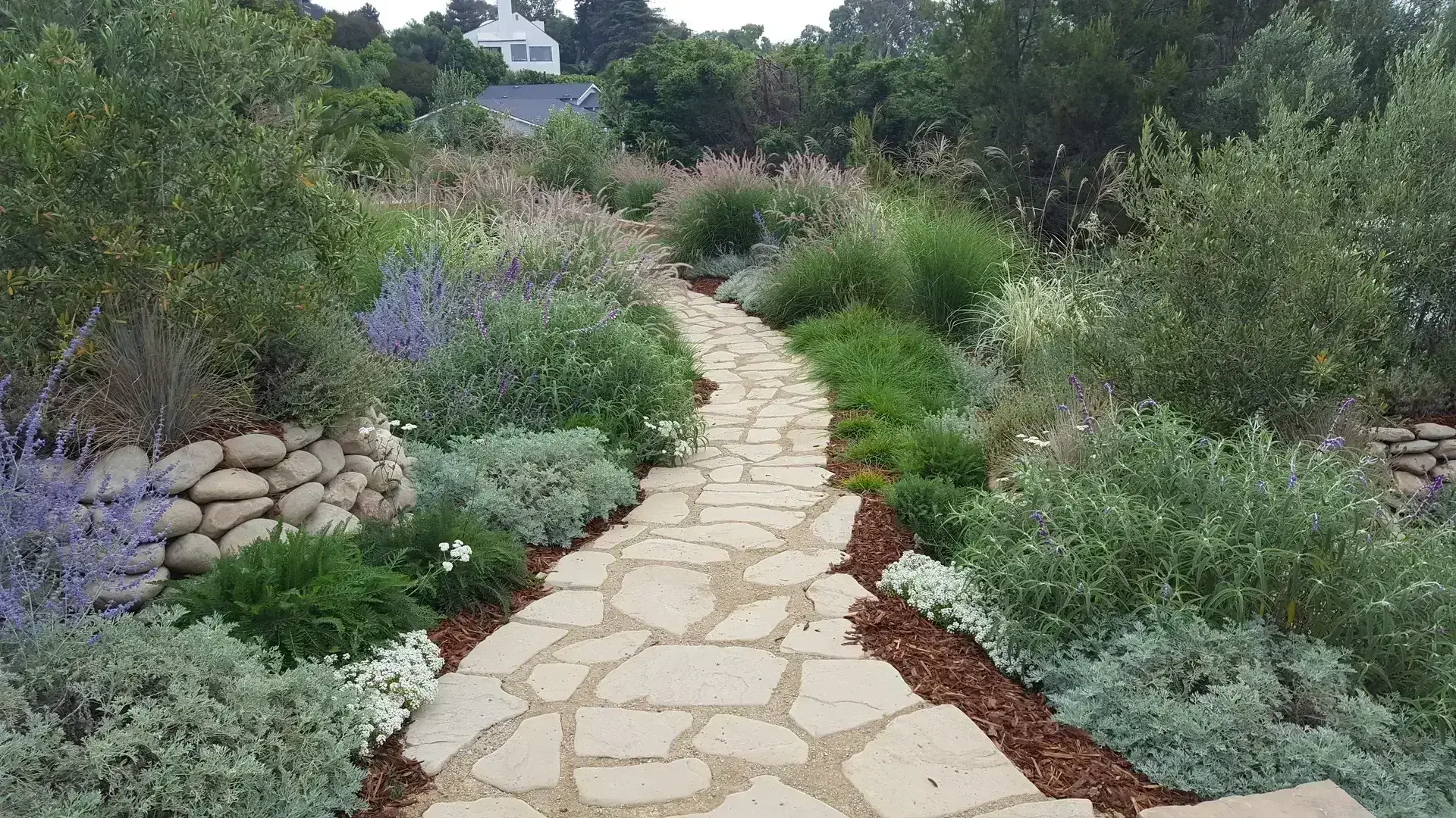 Flagstone Patios & Walkways in San Diego — Staples Landscaping project photo