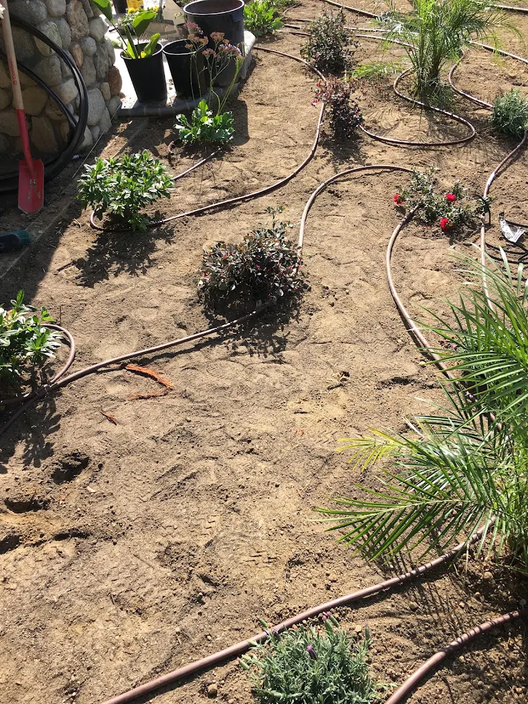 Setup details that decide the outcome — San Diego landscaping by Staples Landscaping