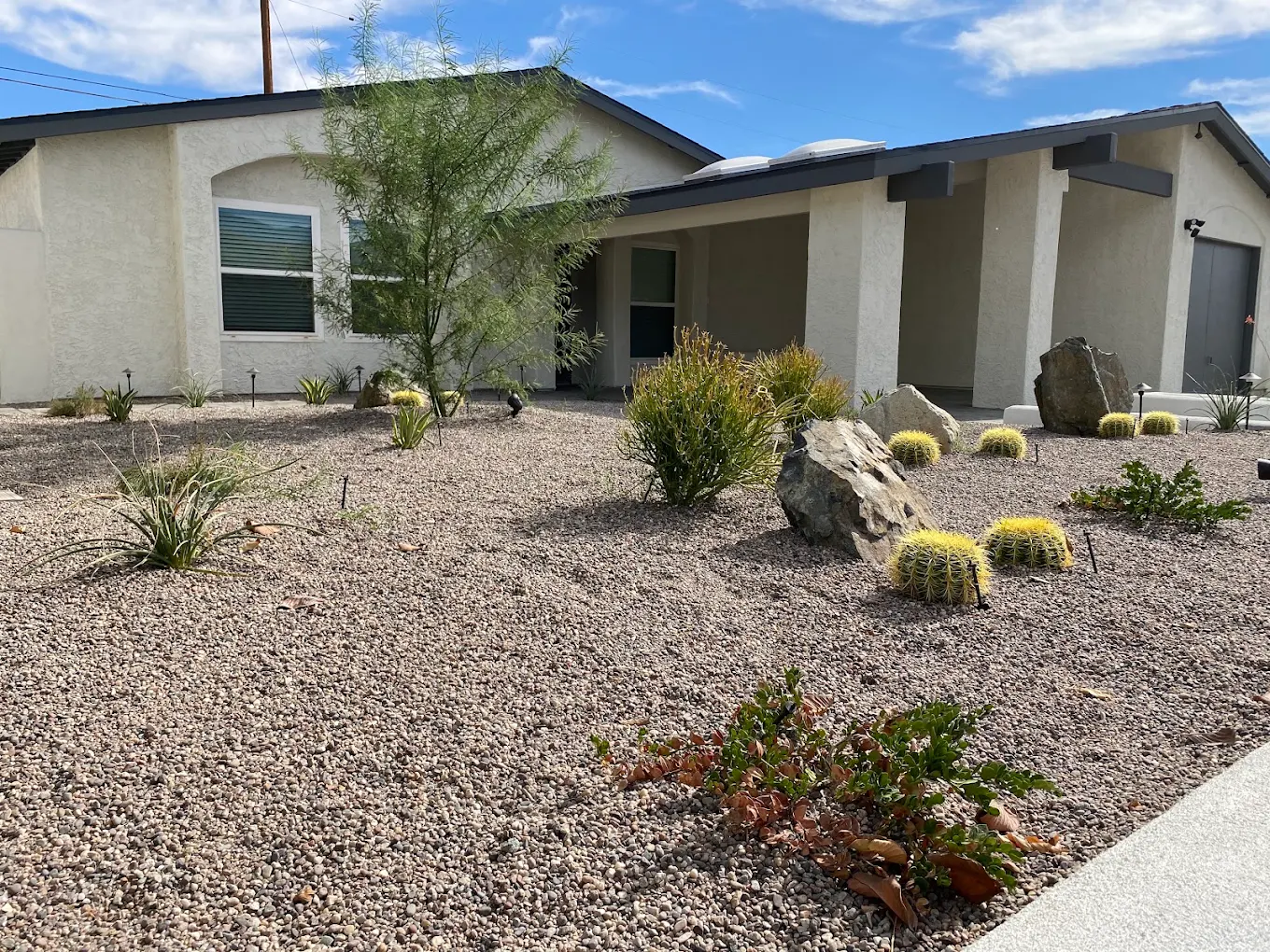 The Best Drought-Tolerant Plants for San Diego Yards — Staples Landscaping project photo