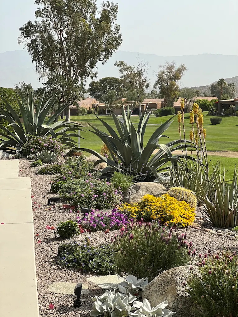 Sandy soil and wind — San Diego landscaping by Staples Landscaping