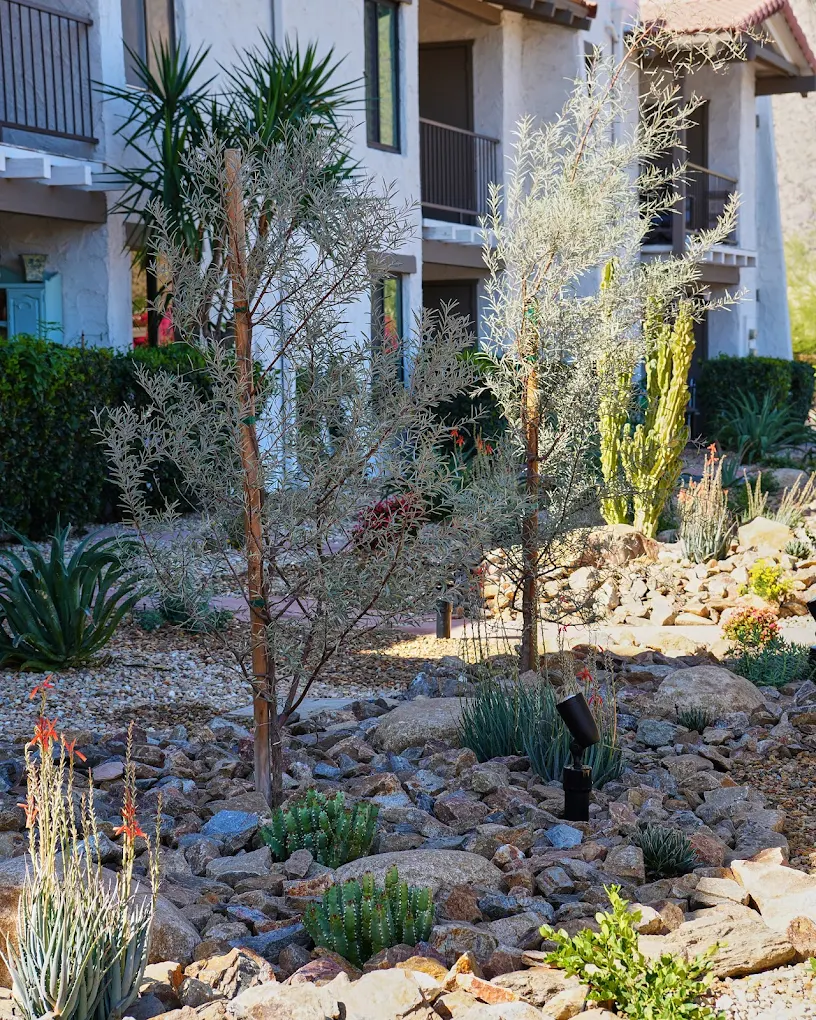 Get the hardscape ratio right — San Diego landscaping by Staples Landscaping