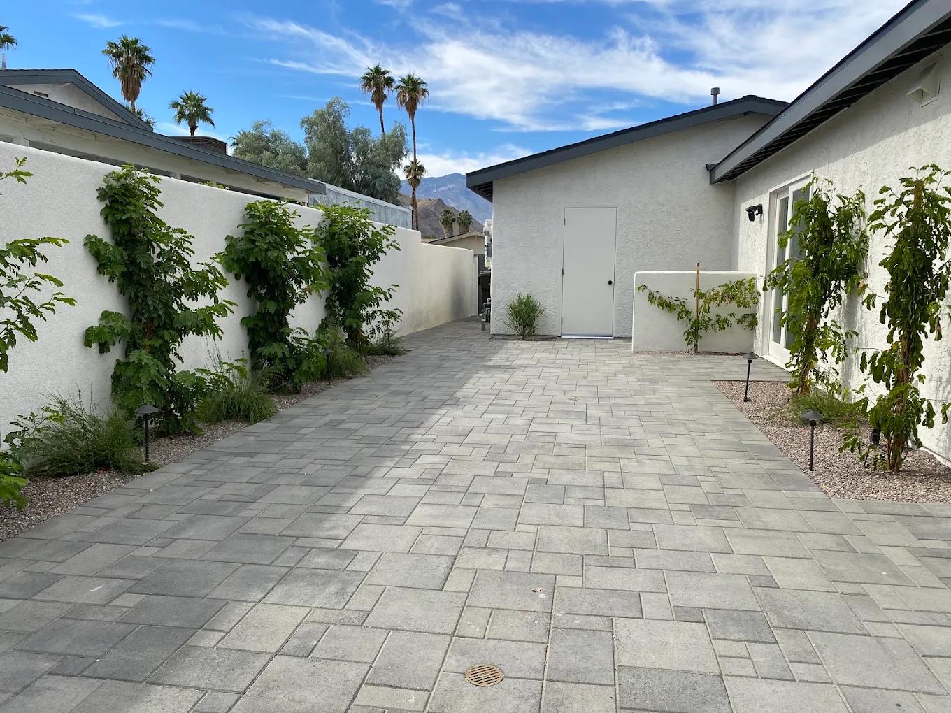 Yard Drainage Solutions That Work in San Diego — Staples Landscaping project photo
