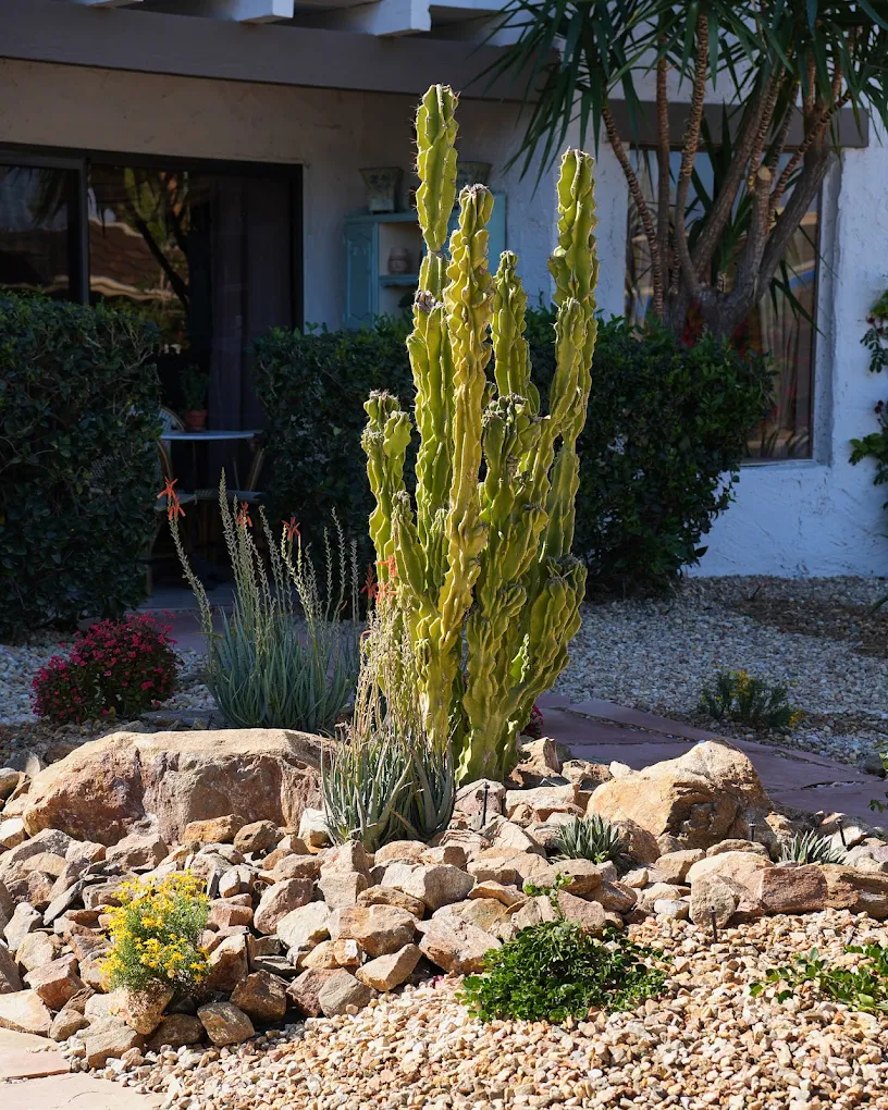 Your rights on water-wise landscaping — San Diego landscaping by Staples Landscaping