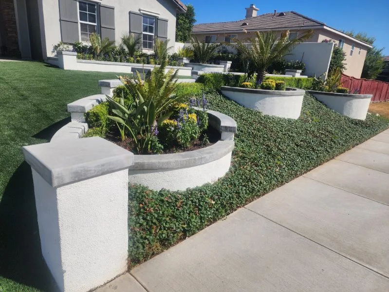 La Mesa Curved-Wall Front Garden — Staples Landscaping project in La Mesa, San Diego