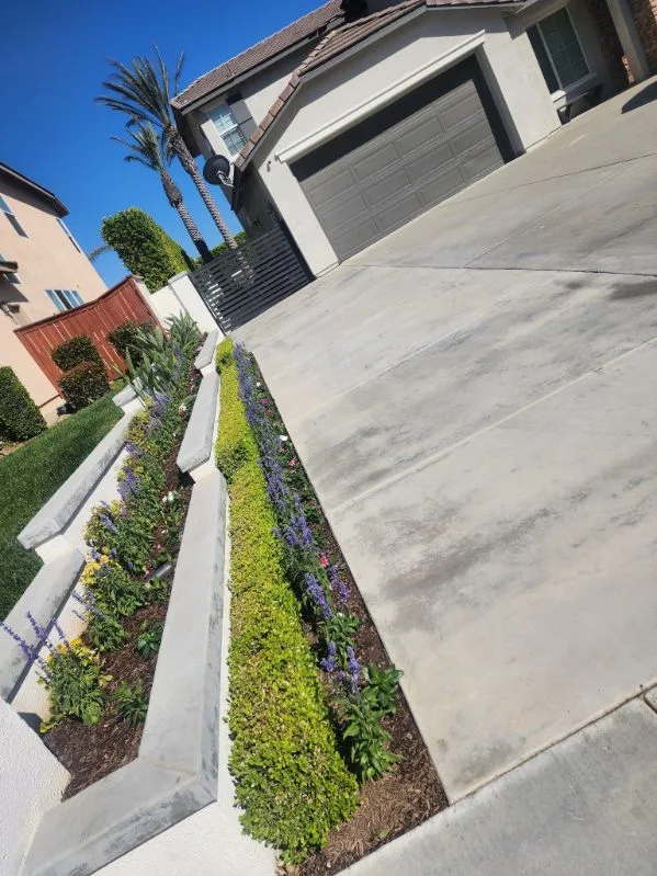 Why shade plantings fail here — San Diego landscaping by Staples Landscaping