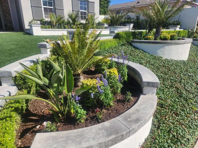 Curved planter walls and layered planting in La Jolla