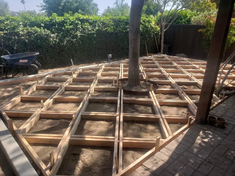 Backyard Patio Formwork Around a Tree in Normal Heights, San Diego