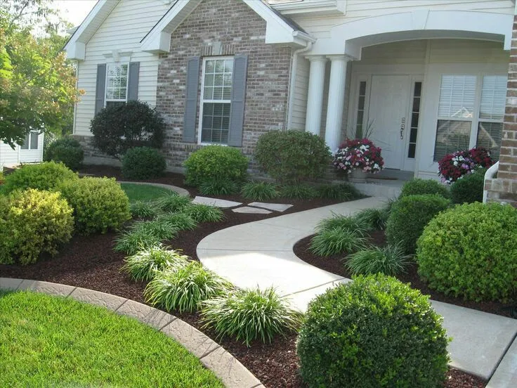 Screen the actual sightline, not the whole fence — San Diego landscaping by Staples Landscaping