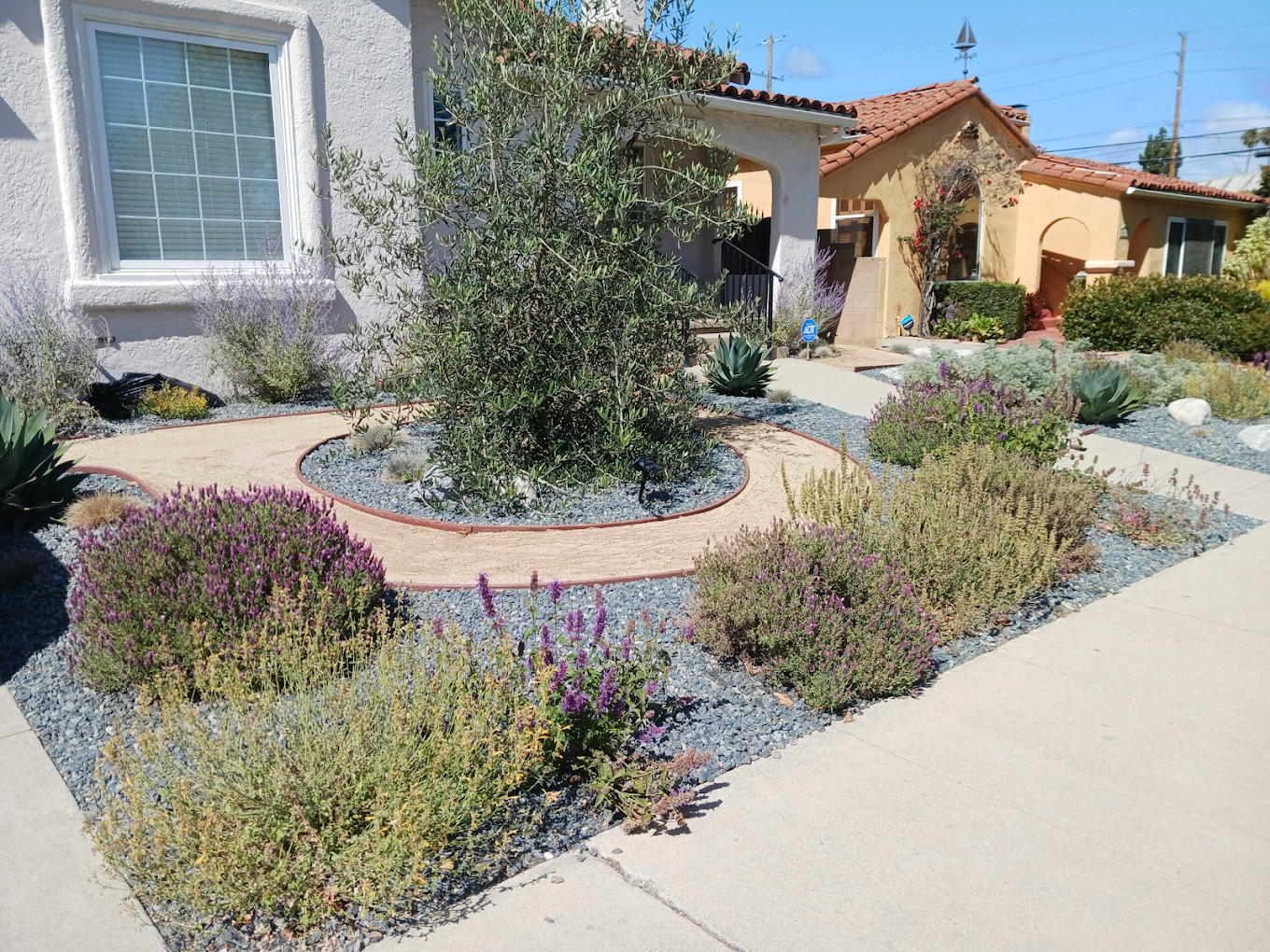 Fire-Wise Landscaping for San Diego's Backcountry and Canyon Edges — Staples Landscaping project photo
