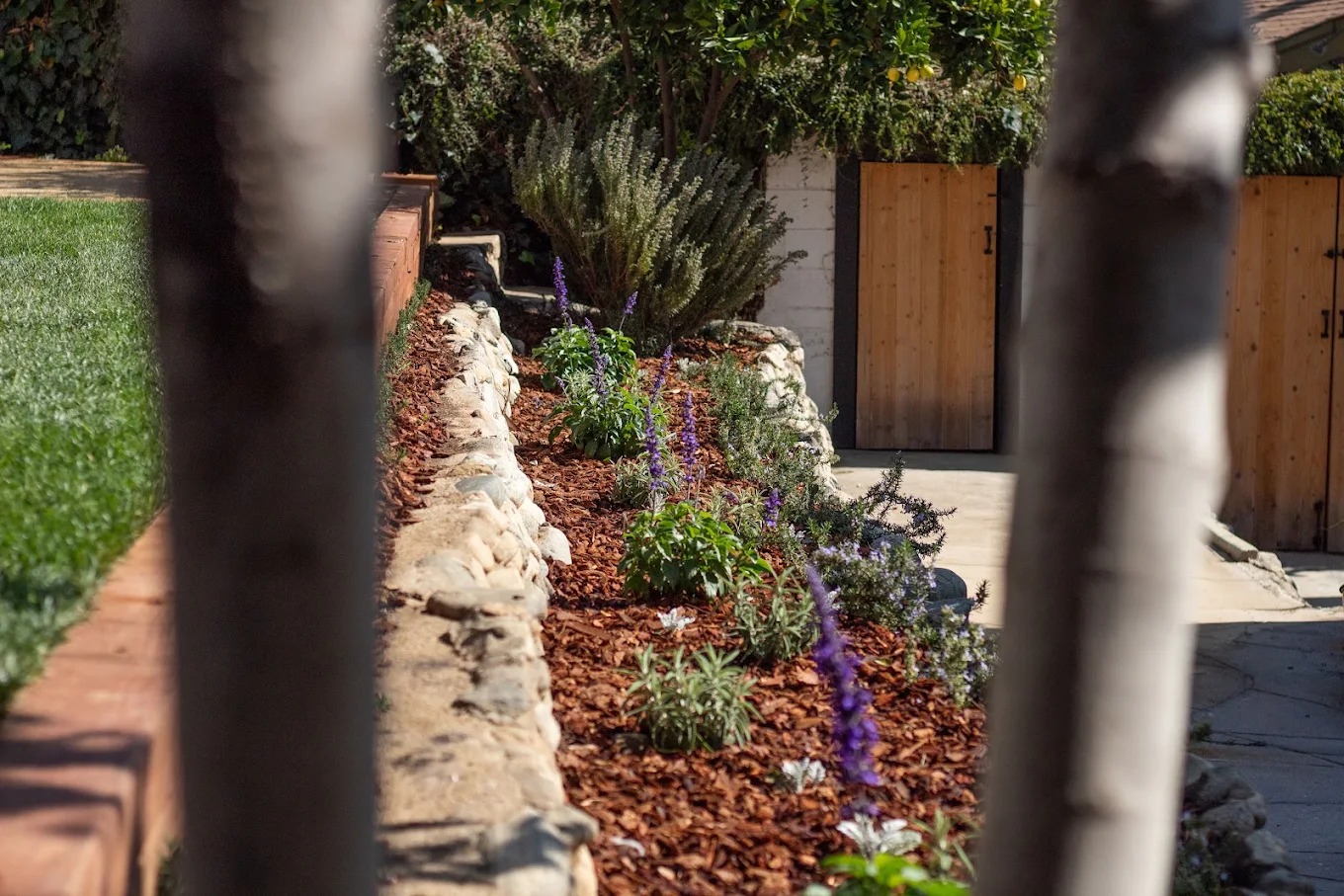 Zoning is what makes drip work — San Diego landscaping by Staples Landscaping