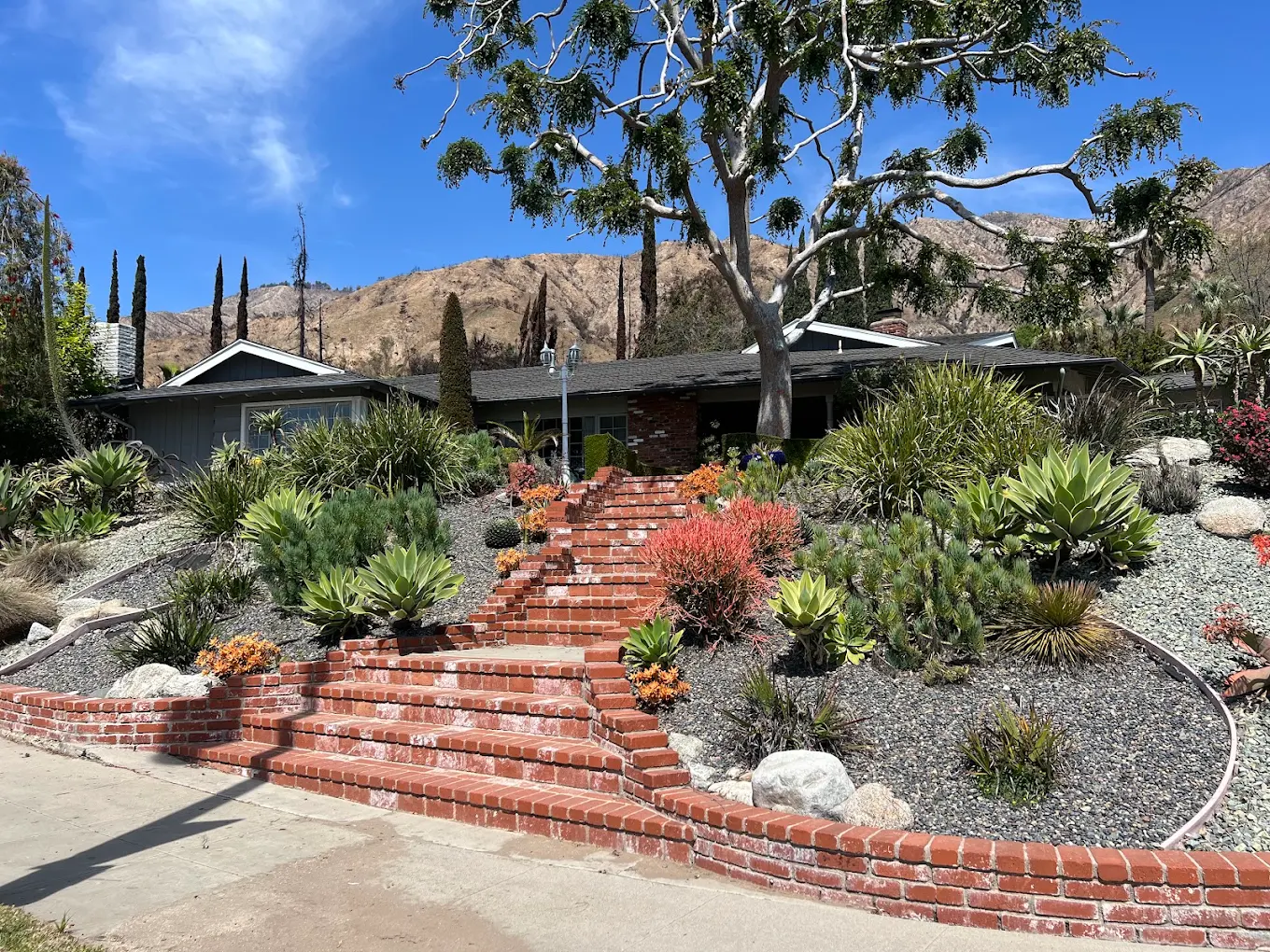 Landscaping in North Park, California