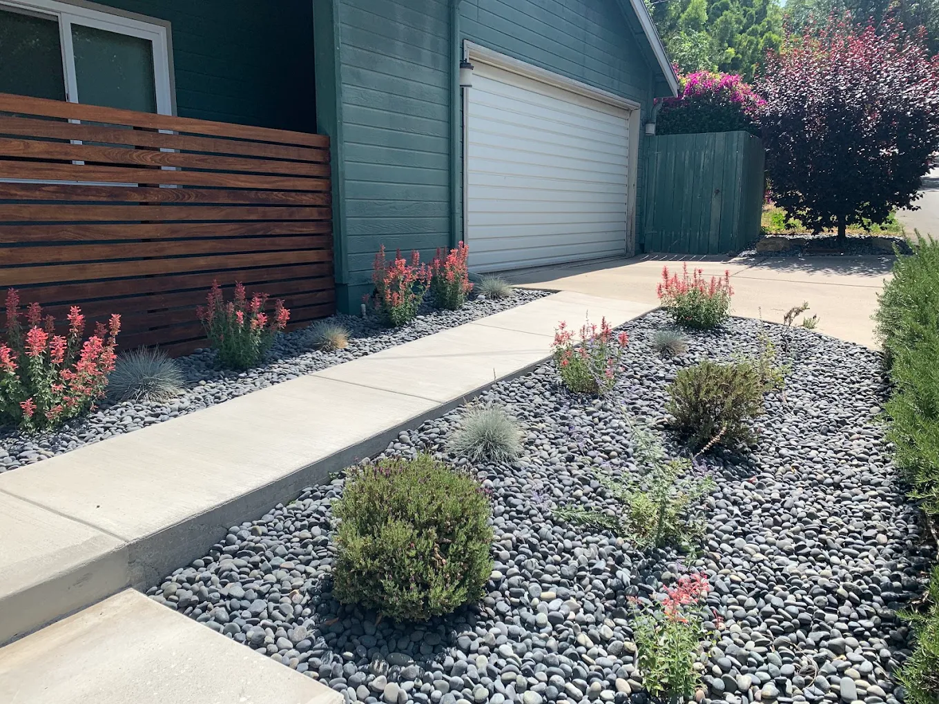 Drought-Tolerant & Native Landscaping in San Diego — project photo 1