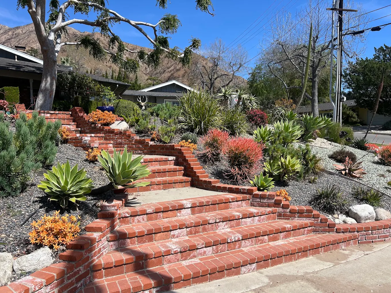 Brick stairway and planted slope in Spring Valley