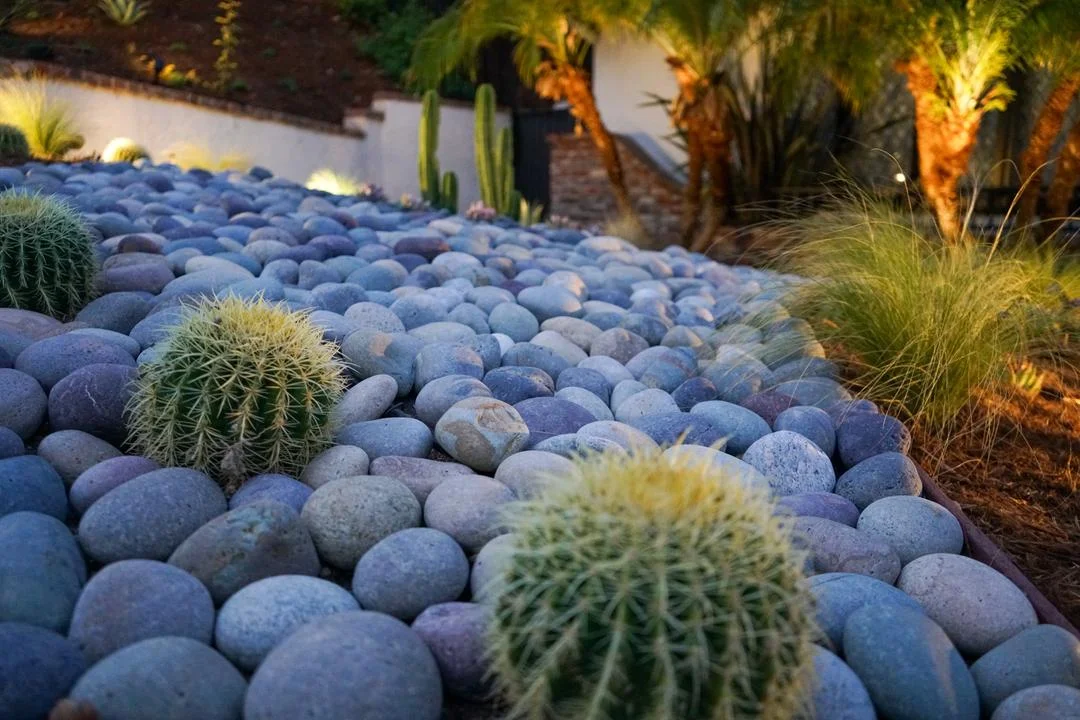 Soil and mulch do the quiet work — San Diego landscaping by Staples Landscaping