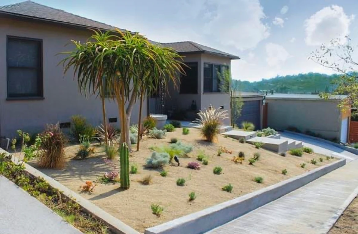 Groundcovers and slope stabilizers — San Diego landscaping by Staples Landscaping