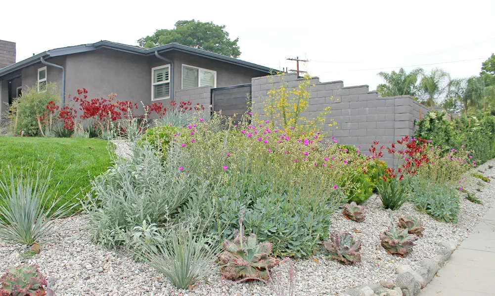 Landscape Planting & Garden Design in San Diego — project photo 3