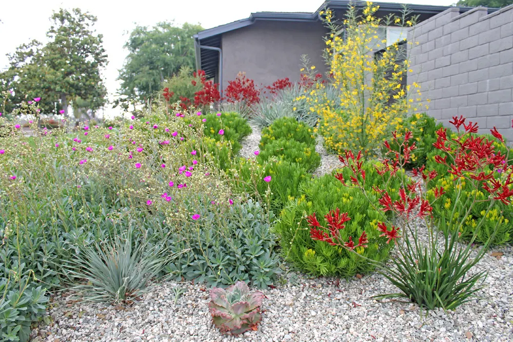 Landscape Design in San Diego — project photo 4
