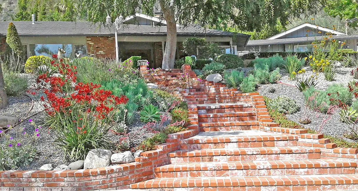 Brick entry steps and hillside planting in Kensington