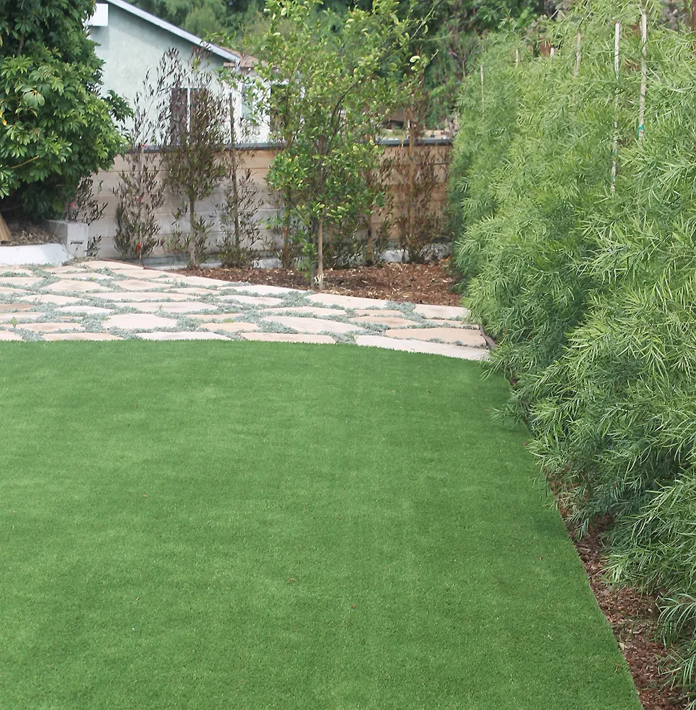 Artificial Turf Installation in San Diego — project photo 3