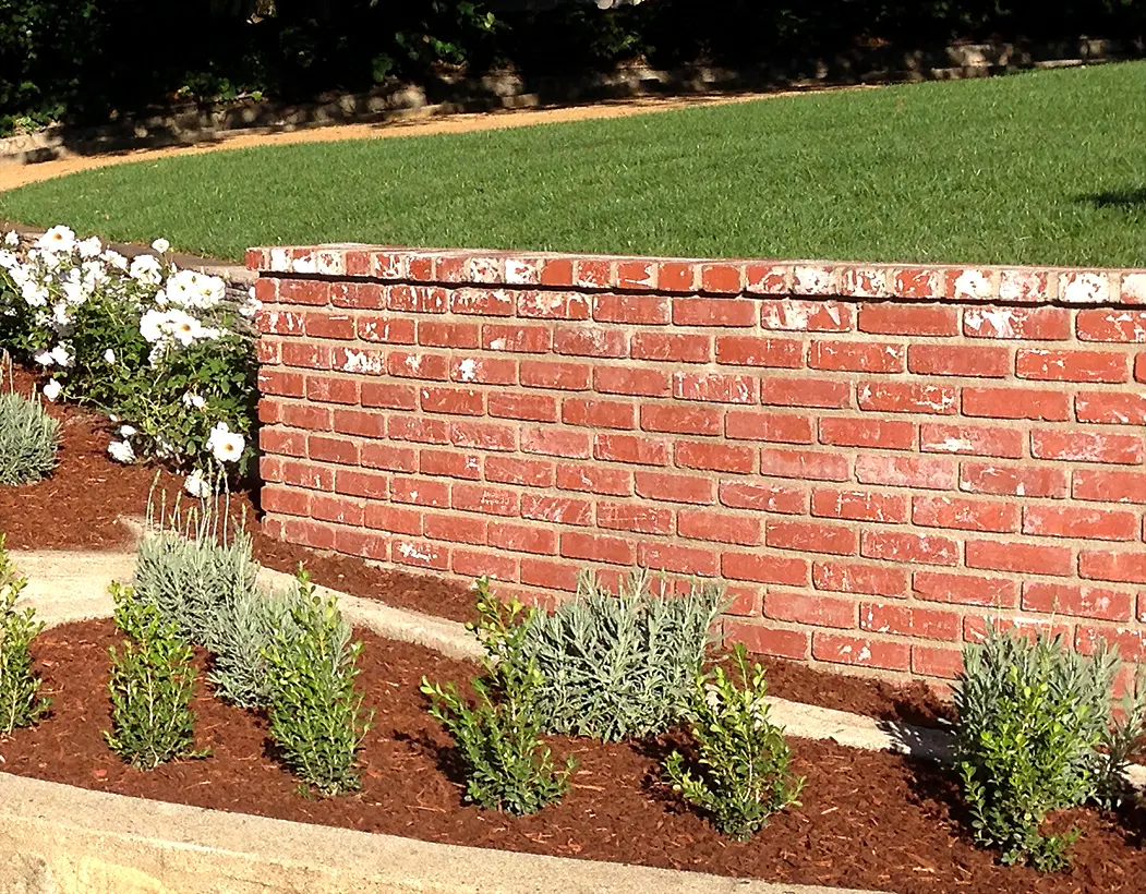 Drainage is the whole ballgame — San Diego landscaping by Staples Landscaping