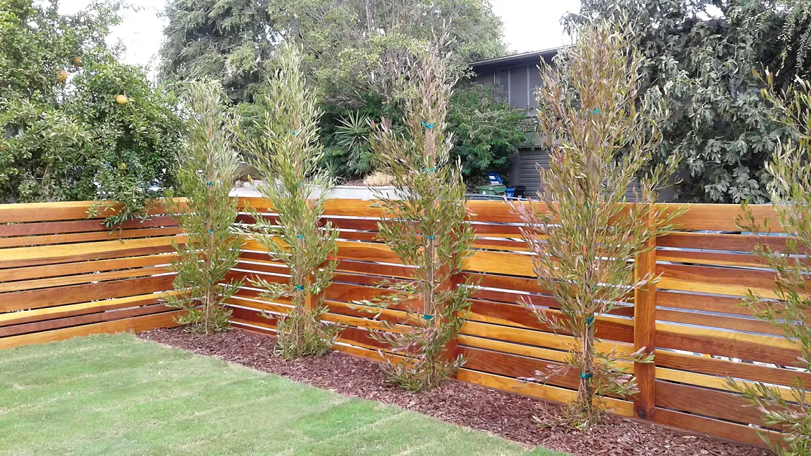 Horizontal Timber Fence & Planted Border in Valley Center, San Diego