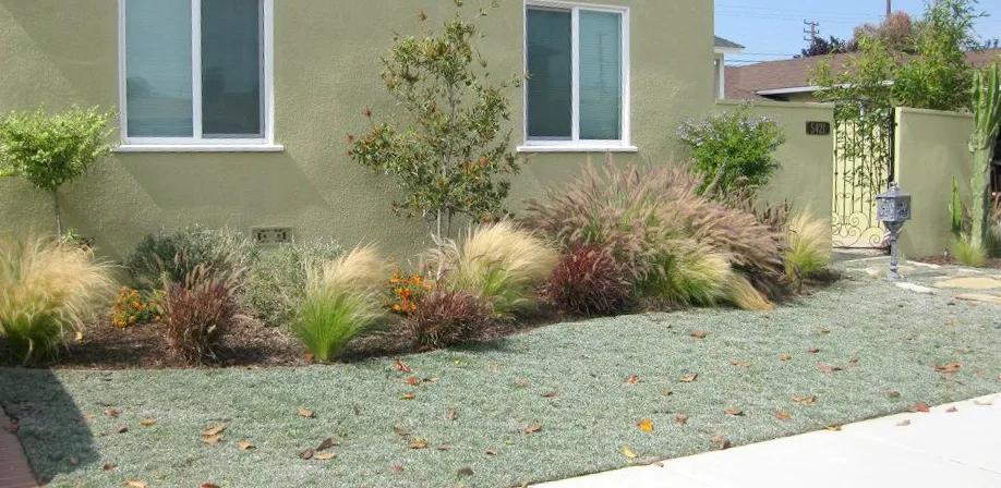 Landscape Planting & Garden Design in San Diego — project photo 6