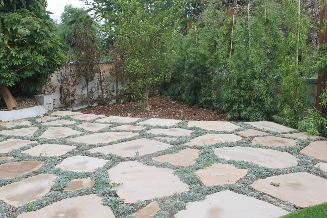 Flagstone Patio with Planted Joints — Staples Landscaping project in Del Mar Heights, San Diego