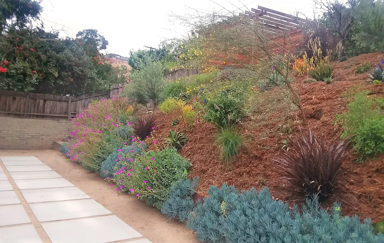 Summer (June–September) — San Diego landscaping by Staples Landscaping