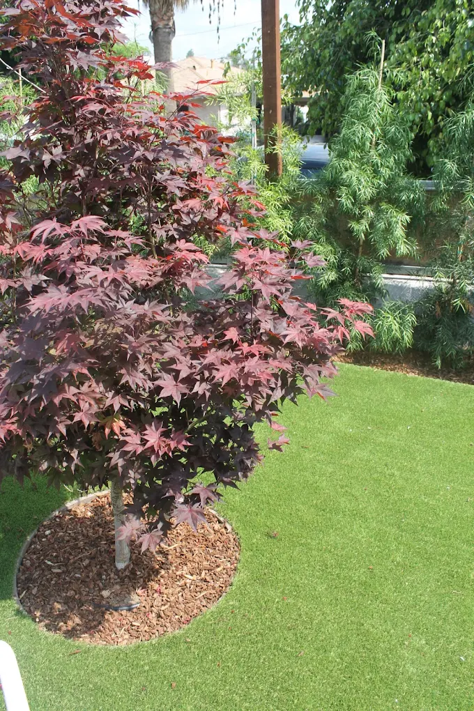 Artificial Turf Installation in San Diego — project photo 5