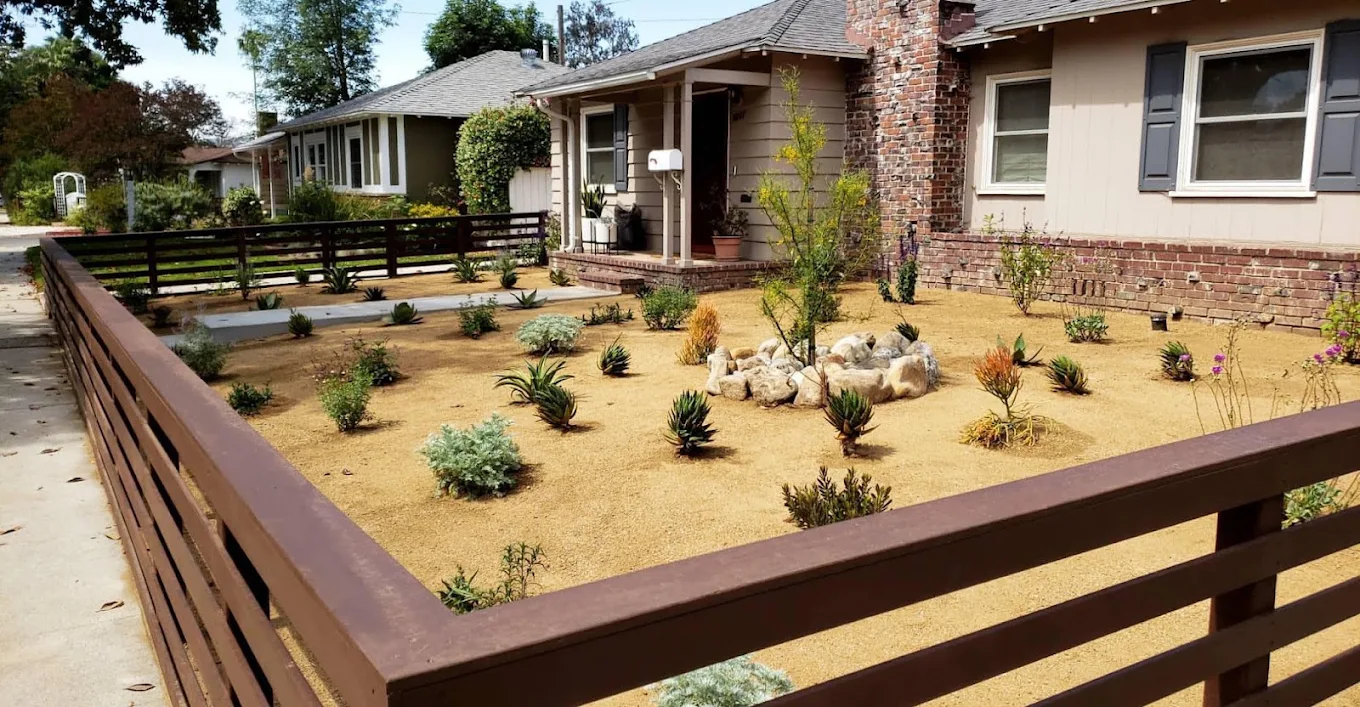 What Actually Grows in Shade in San Diego — Staples Landscaping project photo