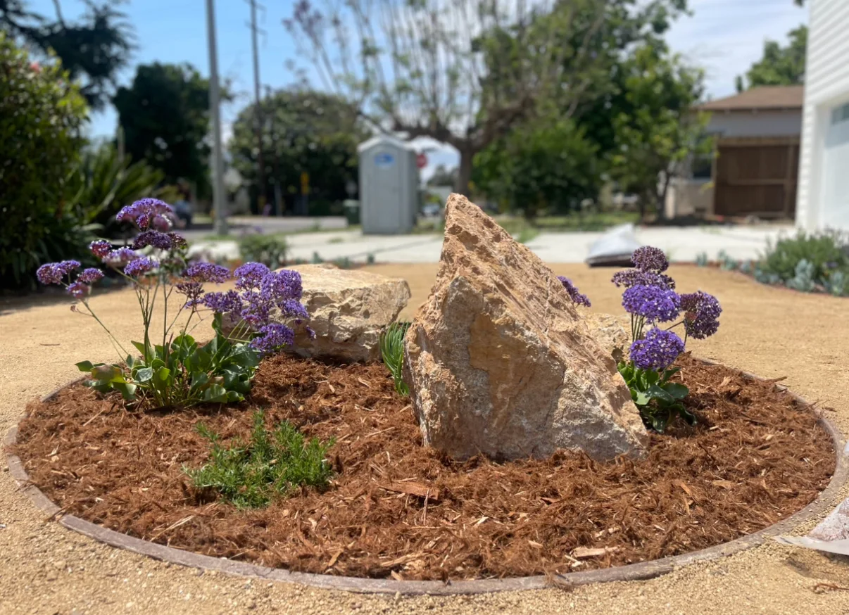 Landscape Design in San Diego — project photo 2