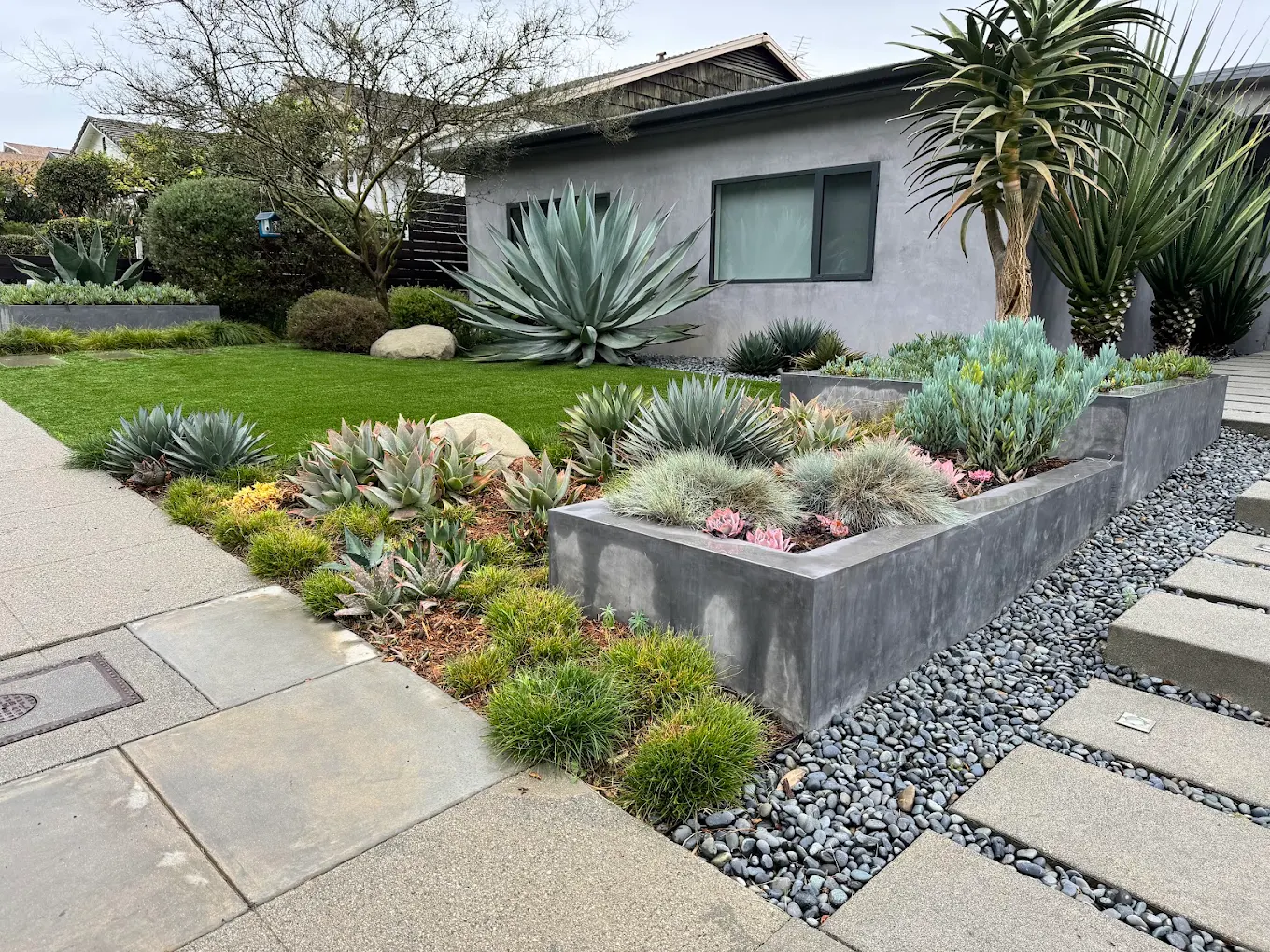 Drought-Tolerant & Native Landscaping in San Diego — Staples Landscaping San Diego