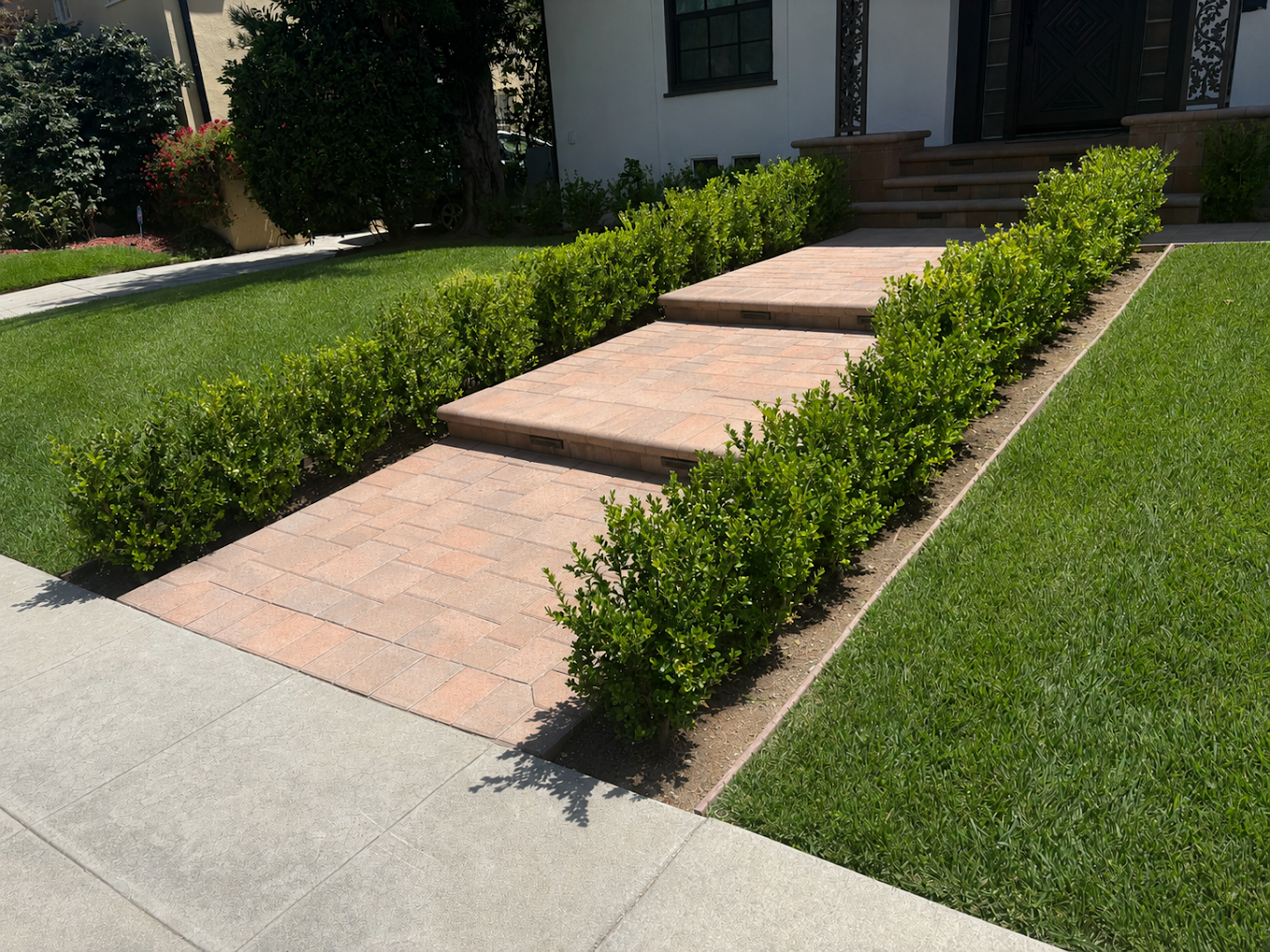 Stepped Entry Walk & Paired Hedges in Imperial Beach, San Diego