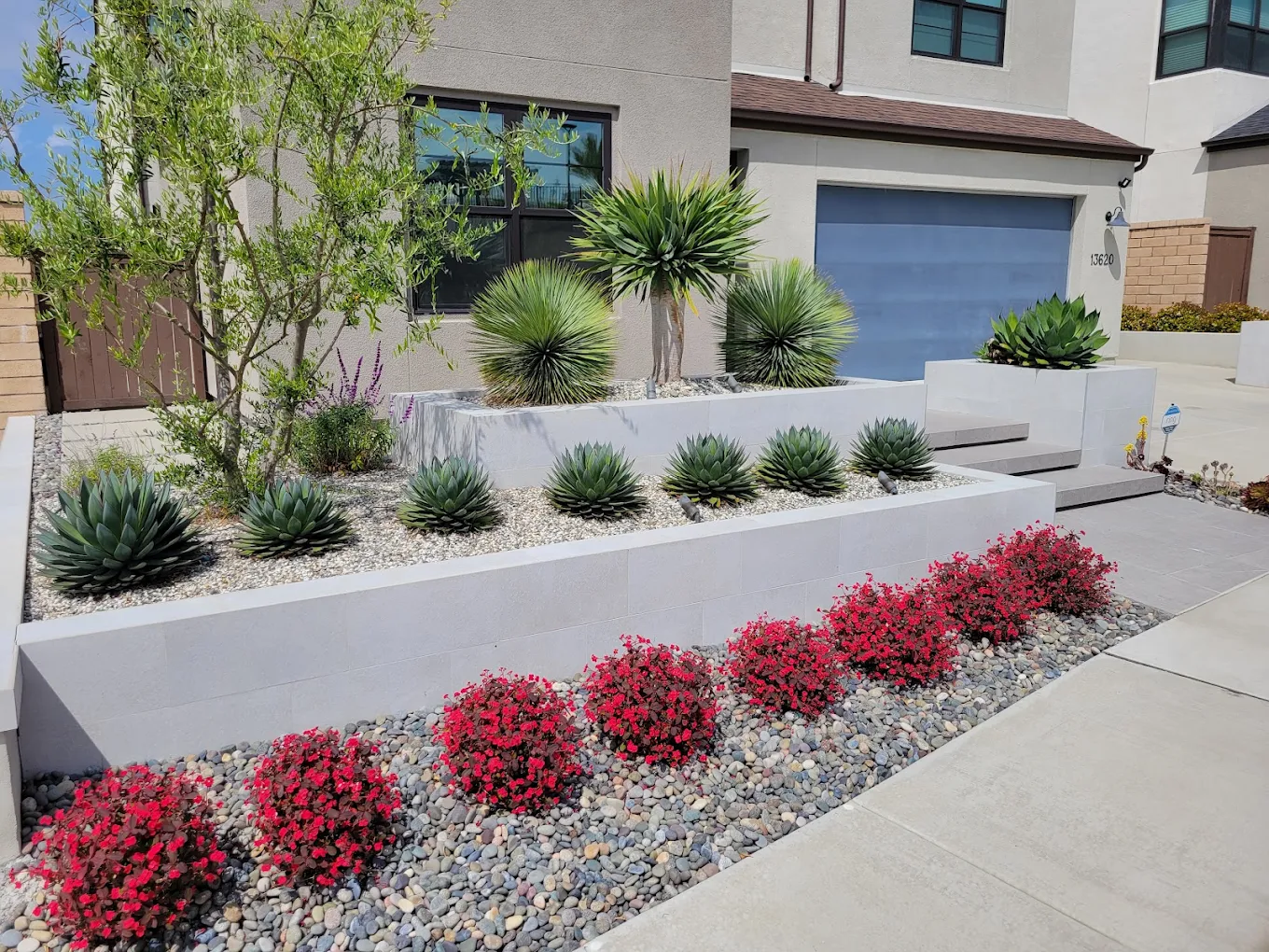Landscaping in San Diego's Clay Soil — Staples Landscaping project photo