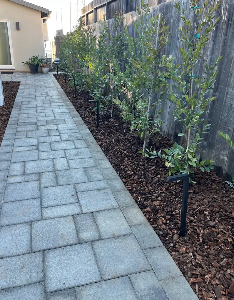 Budgeting a realistic project — San Diego landscaping by Staples Landscaping