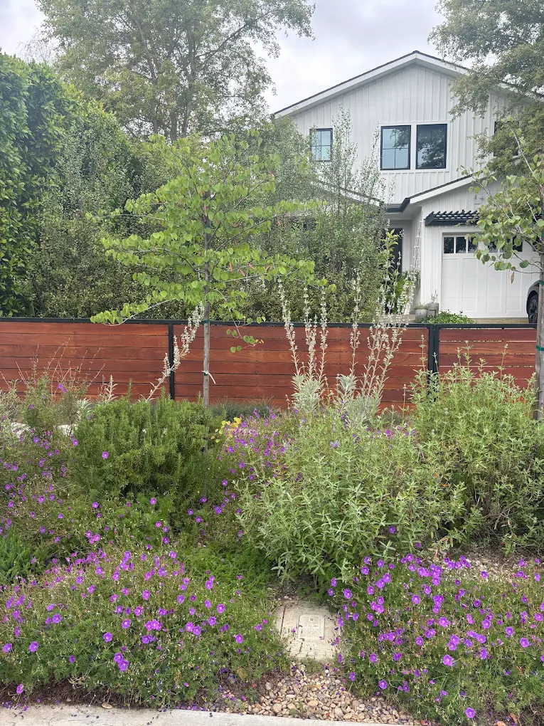 Adjustment two: water differently — San Diego landscaping by Staples Landscaping