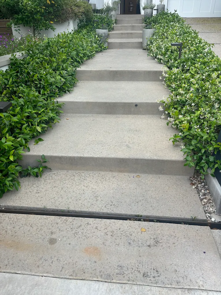 Soil changes the answer — San Diego landscaping by Staples Landscaping