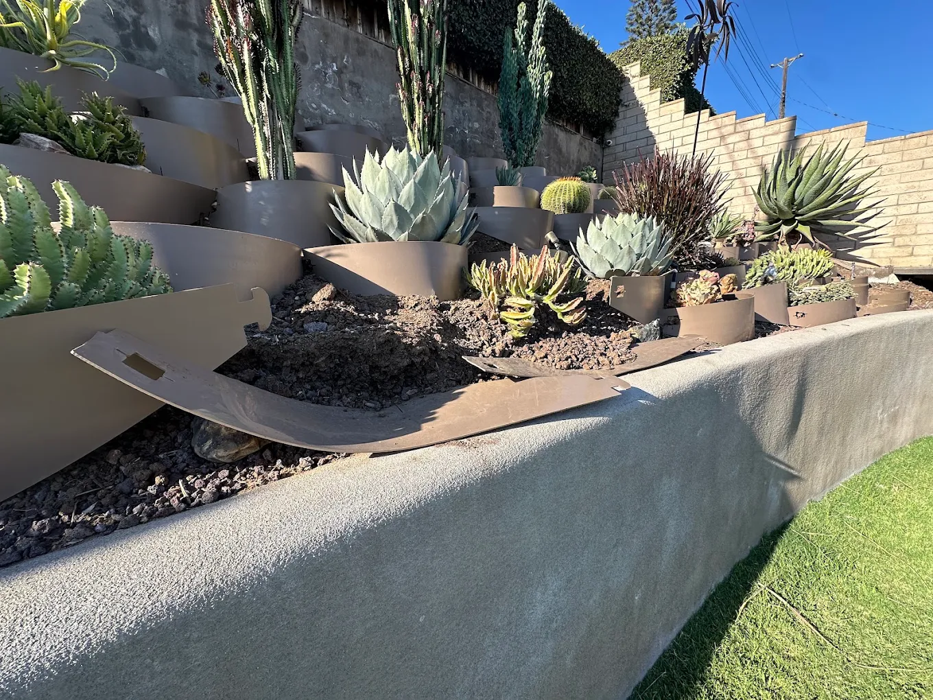 Drought-Tolerant & Native Landscaping in San Diego — project photo 3