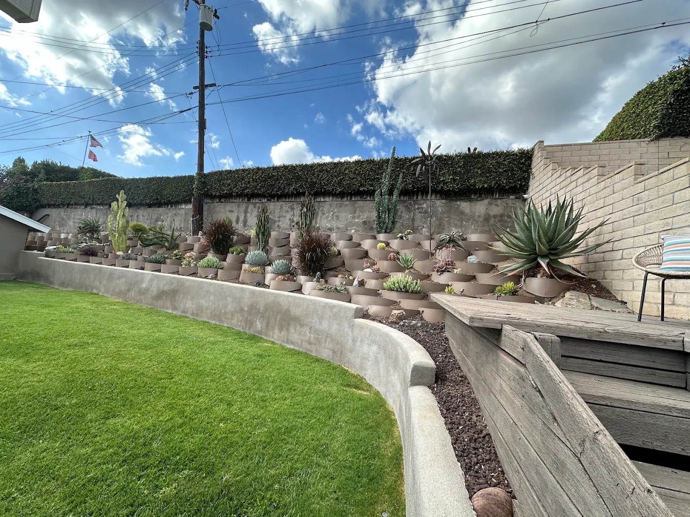 Drought-Tolerant & Native Landscaping in San Diego — project photo 4