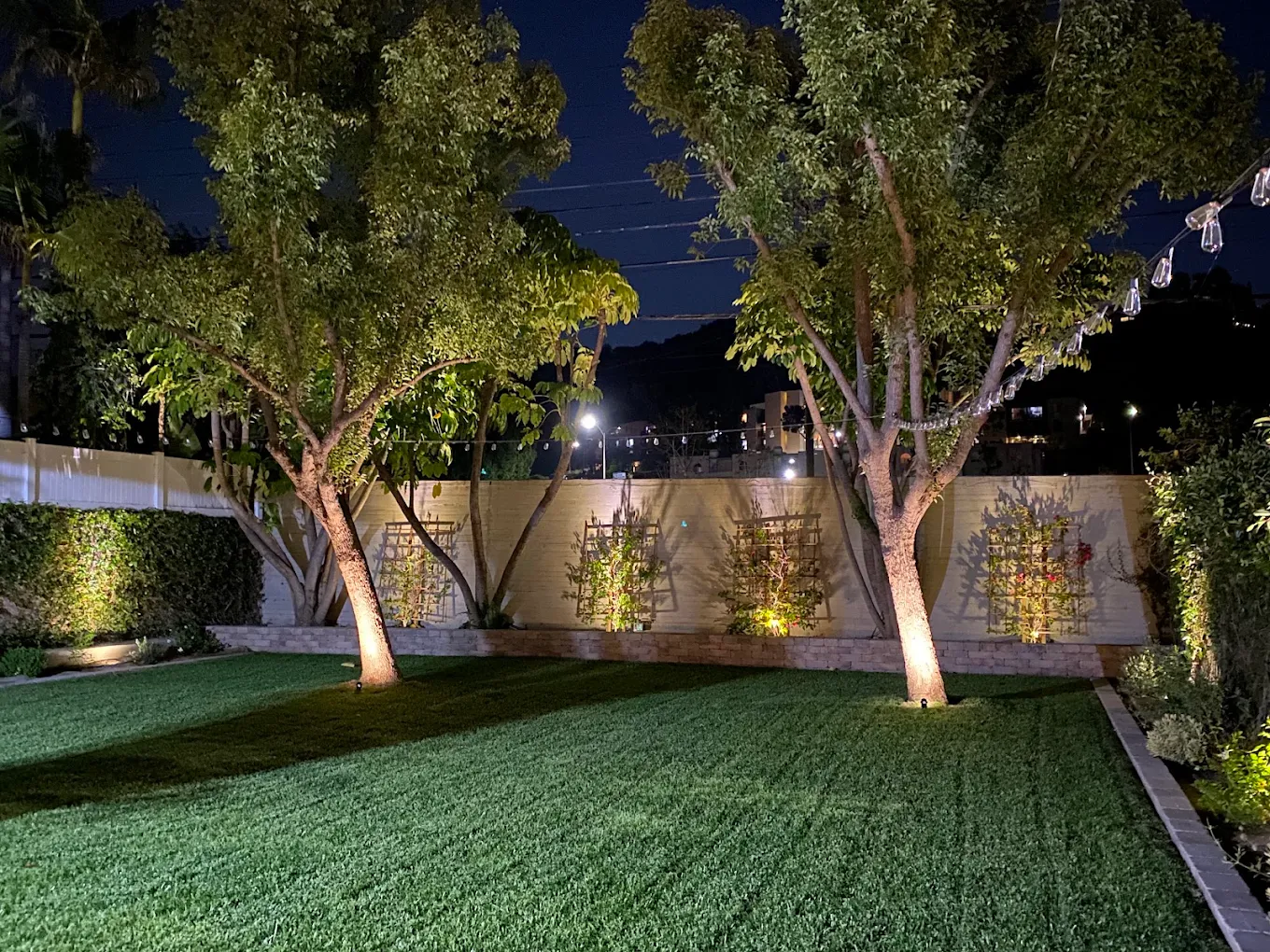 Landscape Lighting in San Diego — project photo 3