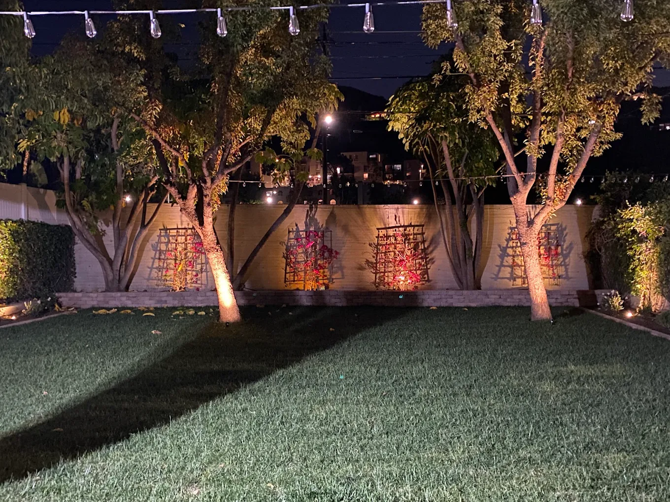 Landscape Lighting in San Diego — project photo 4