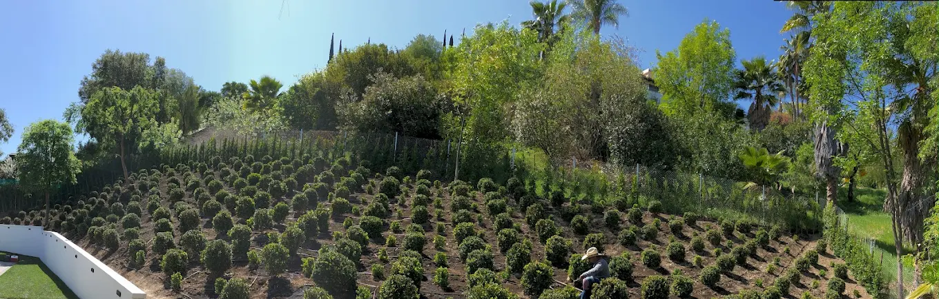 The San Diego timing note — San Diego landscaping by Staples Landscaping