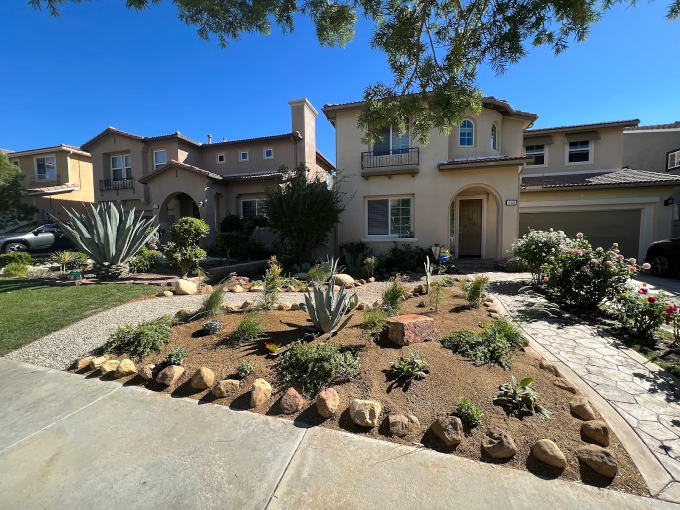 Drought-Tolerant & Native Landscaping in San Diego — project photo 6