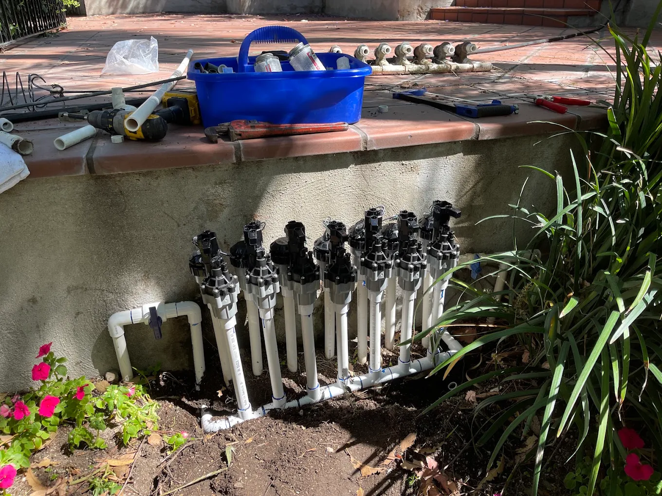 Irrigation & Landscape Drainage in San Diego — project photo 5
